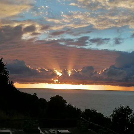 Coin De Paradis Vue Dominante Sur Mer, Montagne Et Tour Genoise Avec Jacuzzi Pino Eksteriør billede