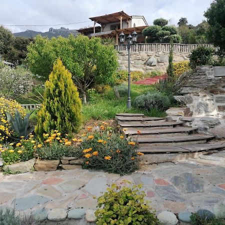 Coin De Paradis Vue Dominante Sur Mer, Montagne Et Tour Genoise Avec Jacuzzi Pino Eksteriør billede