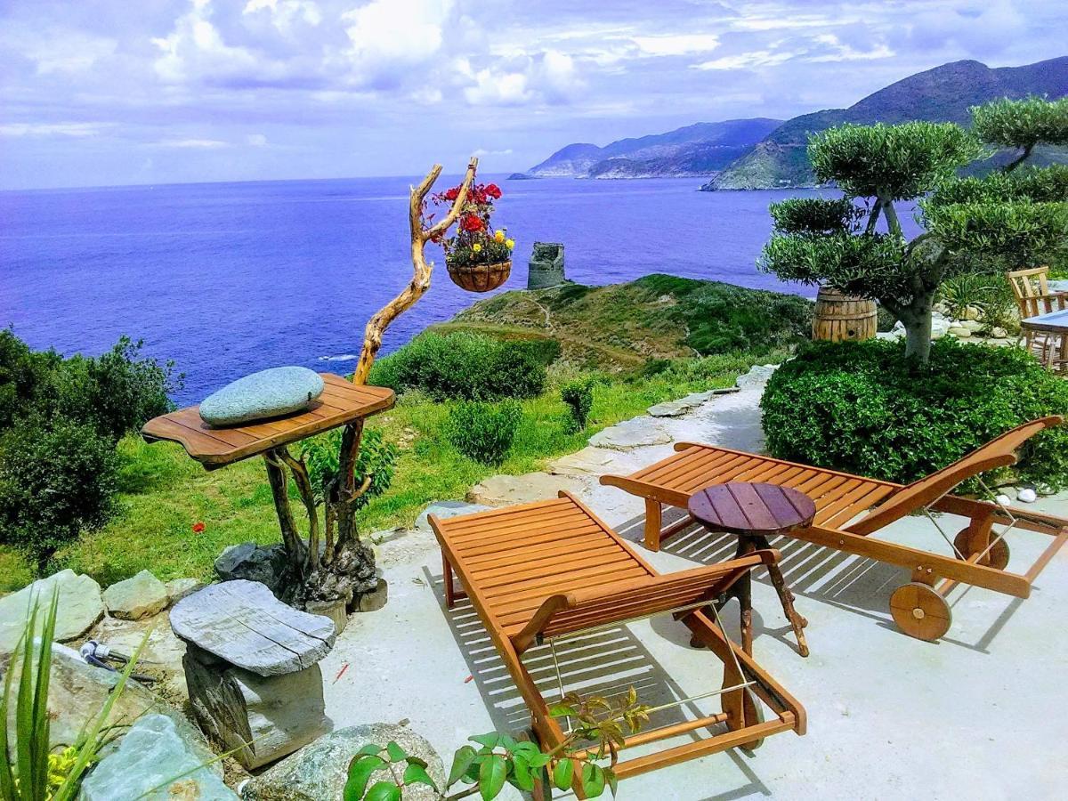 Coin De Paradis Vue Dominante Sur Mer, Montagne Et Tour Genoise Avec Jacuzzi Pino Eksteriør billede