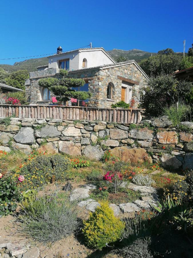 Coin De Paradis Vue Dominante Sur Mer, Montagne Et Tour Genoise Avec Jacuzzi Pino Eksteriør billede