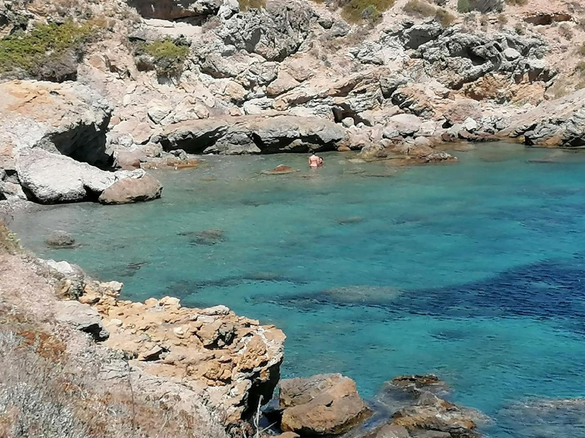 Coin De Paradis Vue Dominante Sur Mer, Montagne Et Tour Genoise Avec Jacuzzi Pino Eksteriør billede