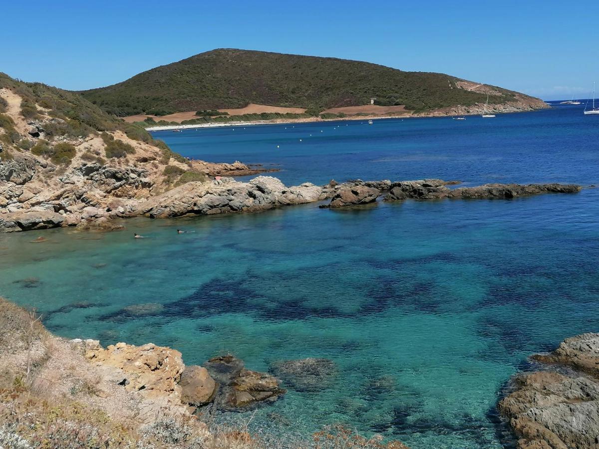 Coin De Paradis Vue Dominante Sur Mer, Montagne Et Tour Genoise Avec Jacuzzi Pino Eksteriør billede