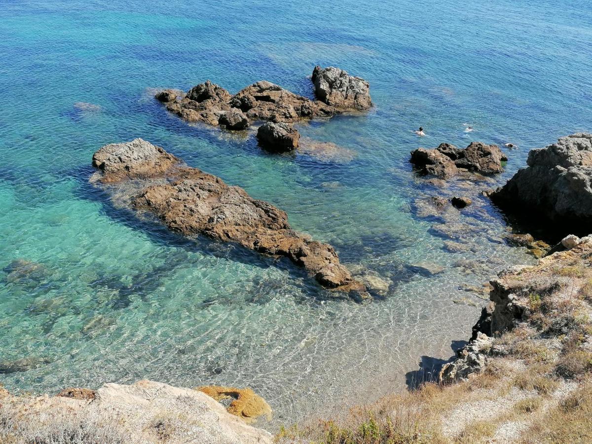 Coin De Paradis Vue Dominante Sur Mer, Montagne Et Tour Genoise Avec Jacuzzi Pino Eksteriør billede