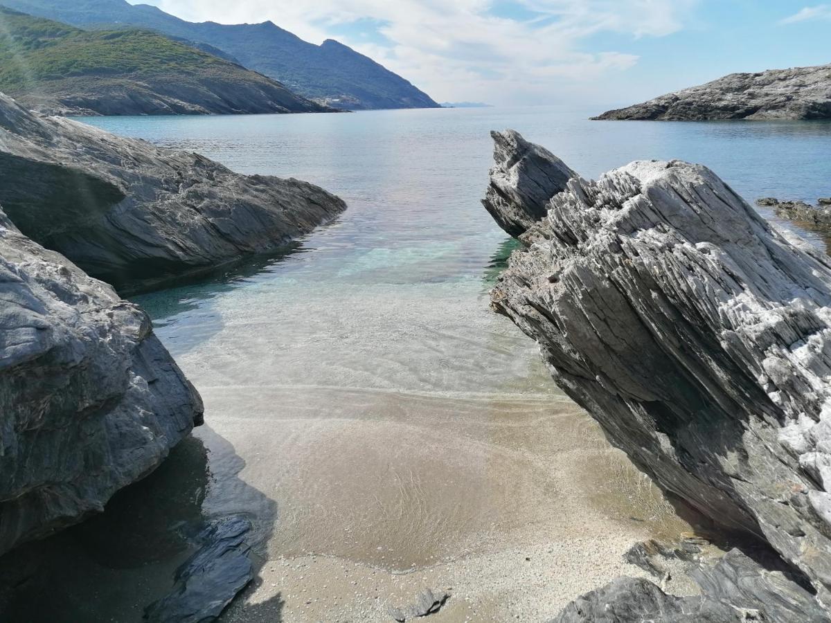 Coin De Paradis Vue Dominante Sur Mer, Montagne Et Tour Genoise Avec Jacuzzi Pino Eksteriør billede