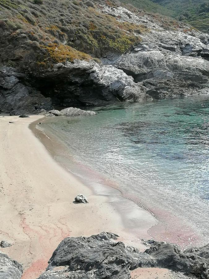 Coin De Paradis Vue Dominante Sur Mer, Montagne Et Tour Genoise Avec Jacuzzi Pino Eksteriør billede