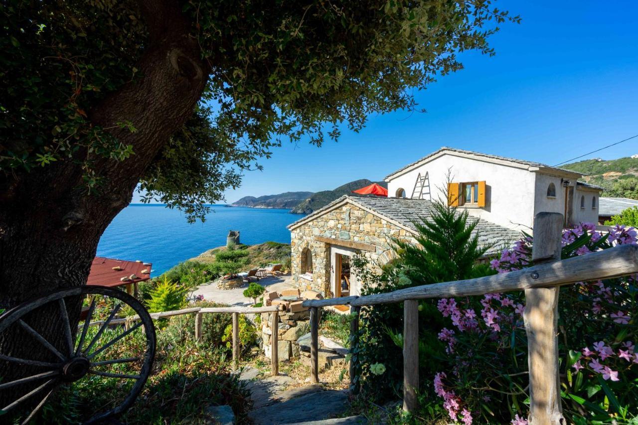 Coin De Paradis Vue Dominante Sur Mer, Montagne Et Tour Genoise Avec Jacuzzi Pino Eksteriør billede