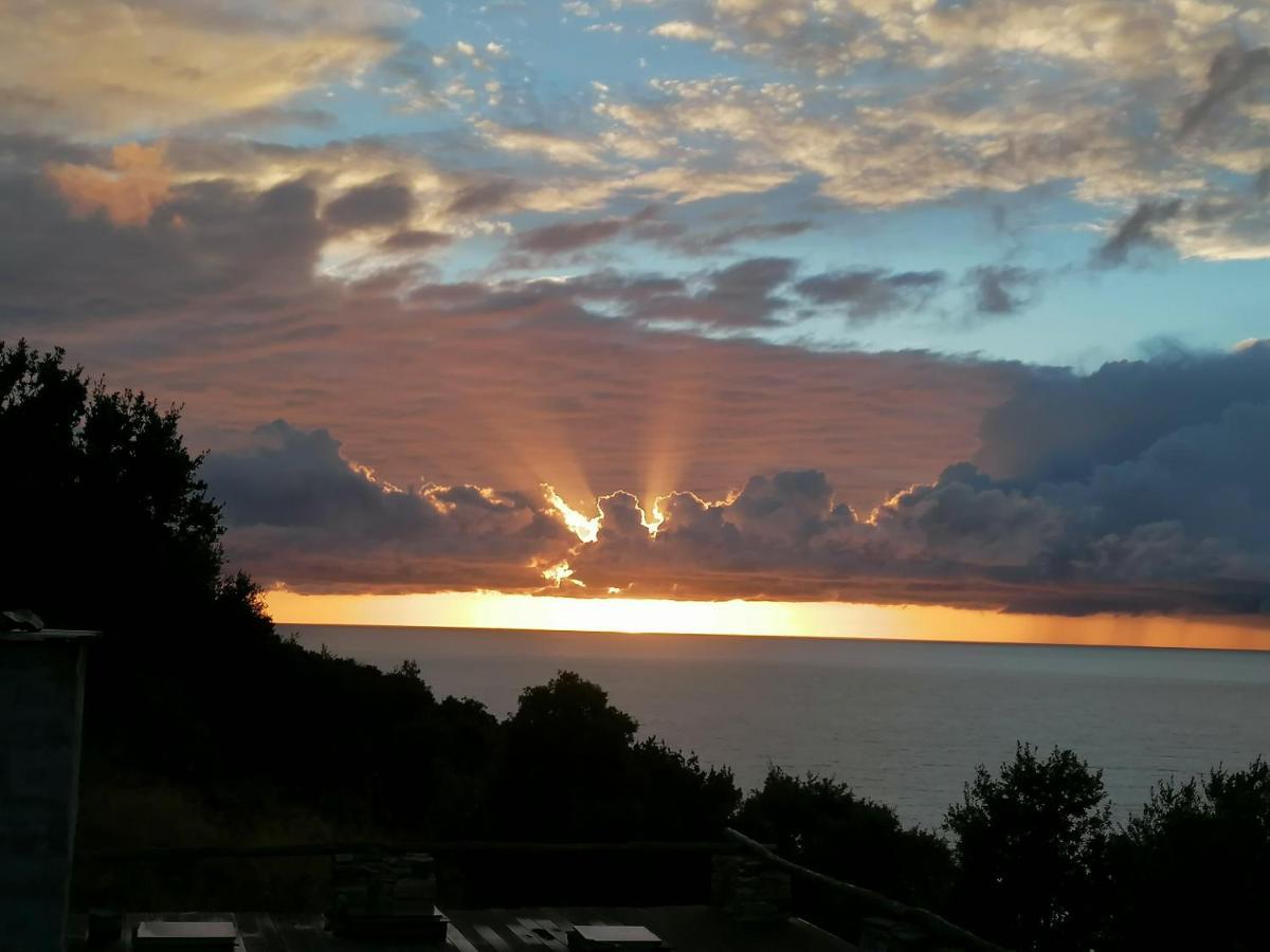 Coin De Paradis Vue Dominante Sur Mer, Montagne Et Tour Genoise Avec Jacuzzi Pino Eksteriør billede