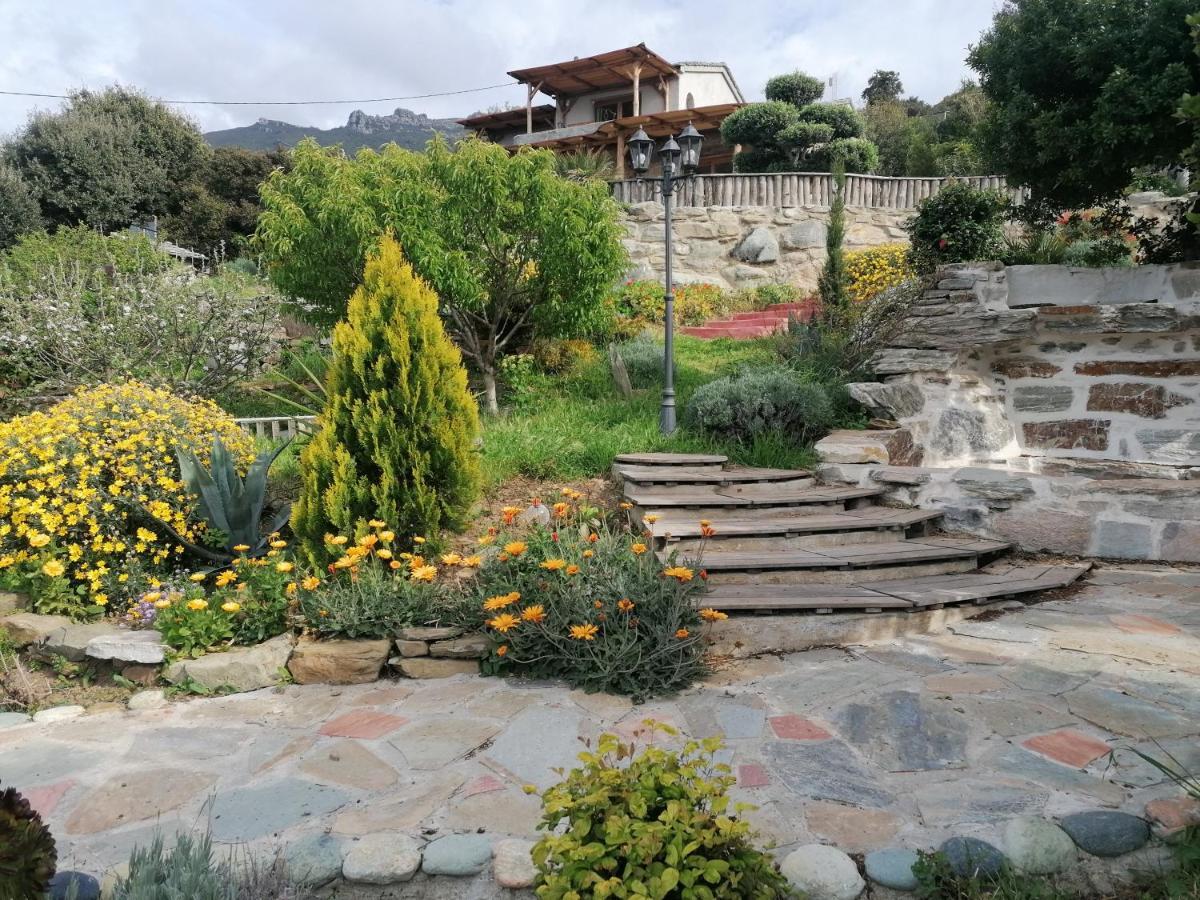 Coin De Paradis Vue Dominante Sur Mer, Montagne Et Tour Genoise Avec Jacuzzi Pino Eksteriør billede